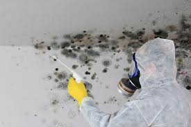 Biohazard Mold Removal in Winfield, TN